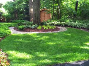 mulch