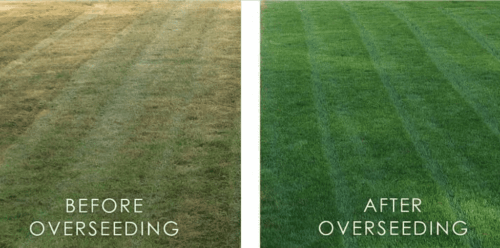 Overseeding