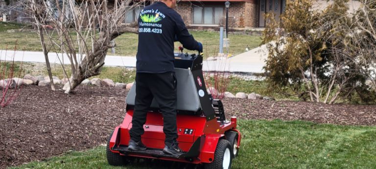 Basilio on aerator