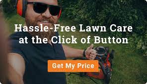 lawn diseases, mowing click button guy weeds