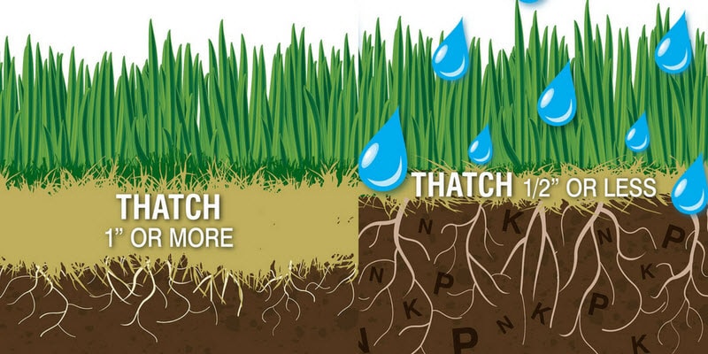 Thach layers