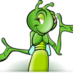 insects