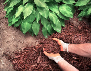hand mulch