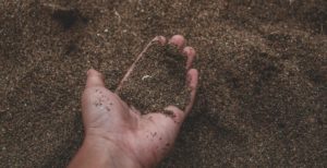soil2