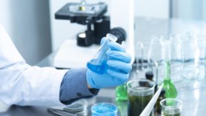 lab