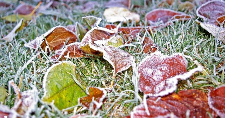 fall