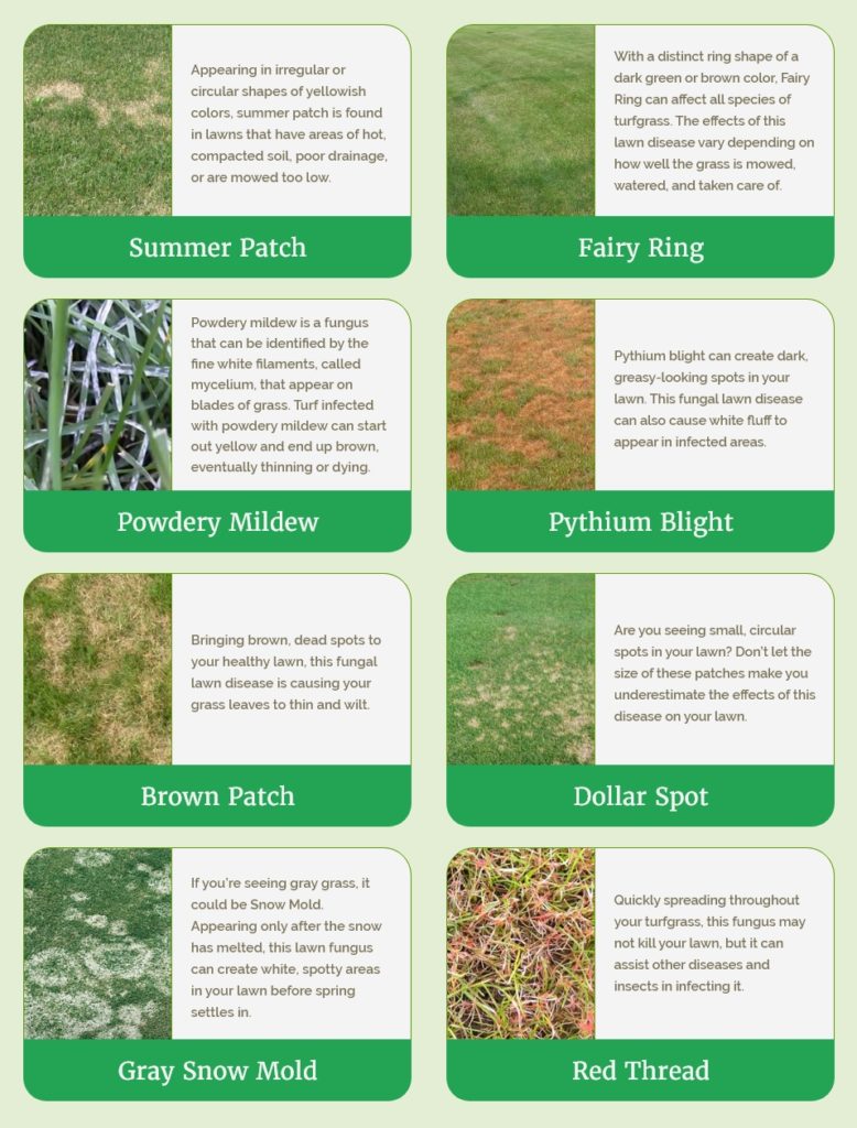 Grass-Master-Lawn-Disease-Chart