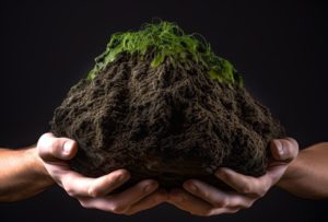 handful of soil