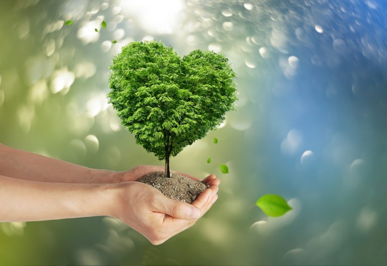 climate protection, tree, hands-7143295.jpg