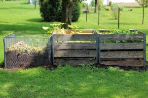 compost-419261