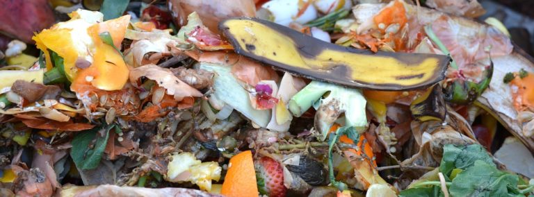 compost, fruit and vegetable waste, banana peel-709020.jpg