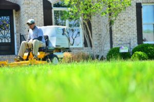 lawn-care-lawn-maintenance-643562