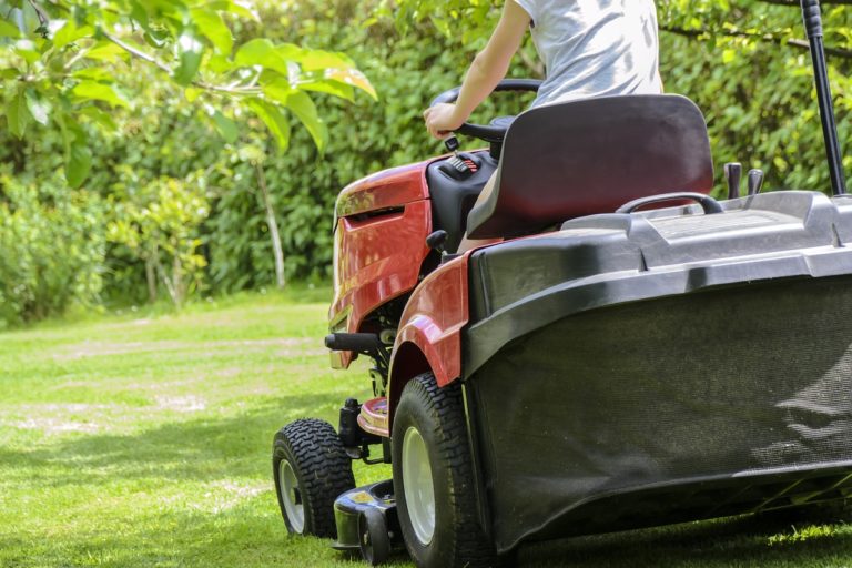 mowing the grass, gardening, lawn care