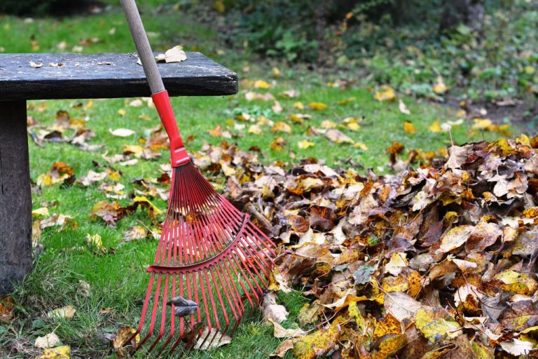 rake-rob-raking-leaves-autumn-2876079