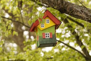 tree-wood-nature-bird-feeder-house