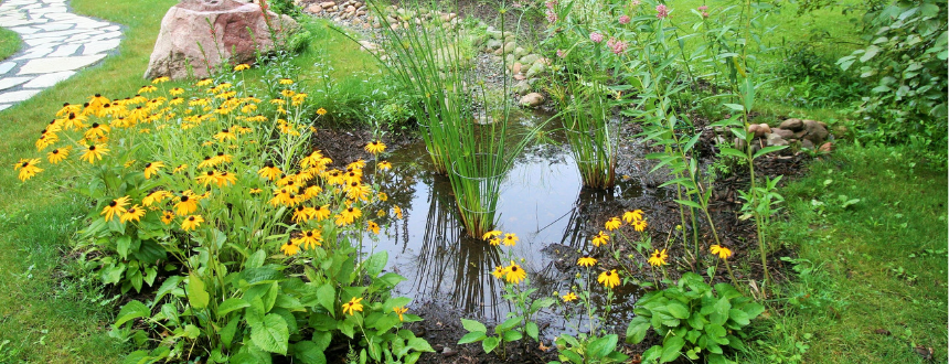 Rain gardens