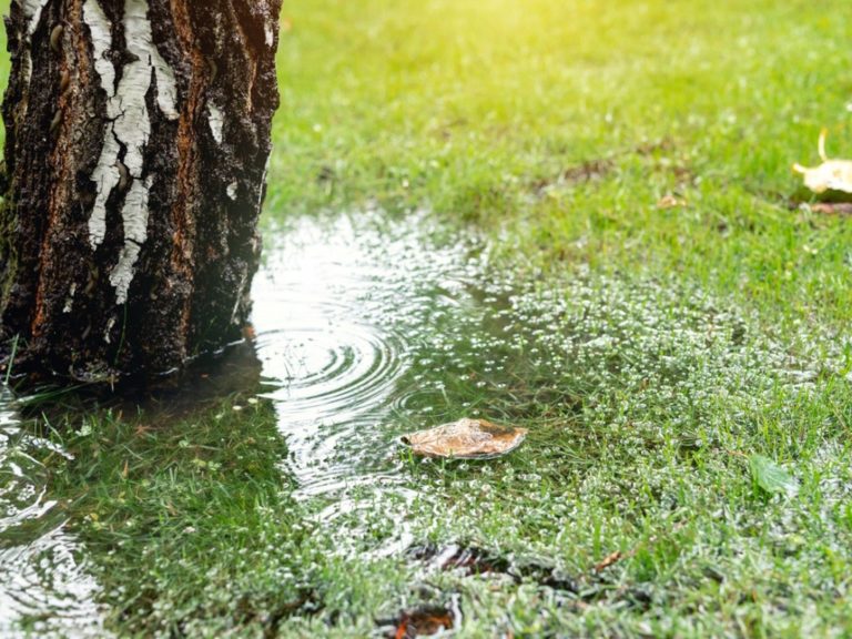 Runoff