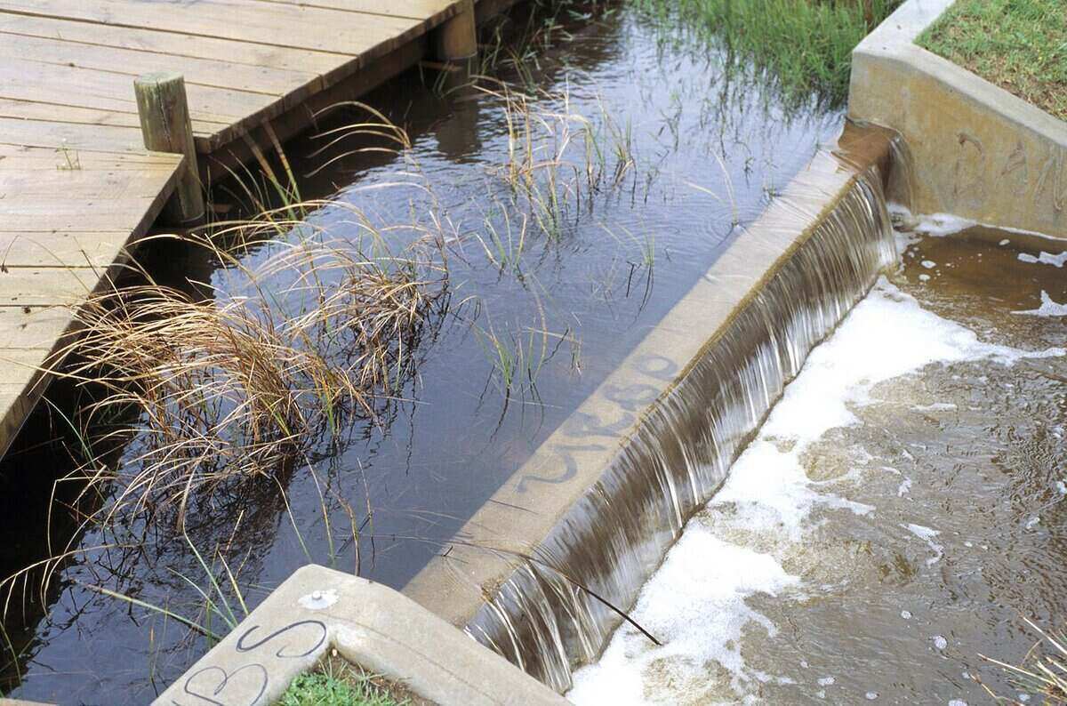 Runoff