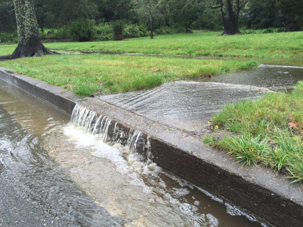 lawn health runoff_GlenEllen