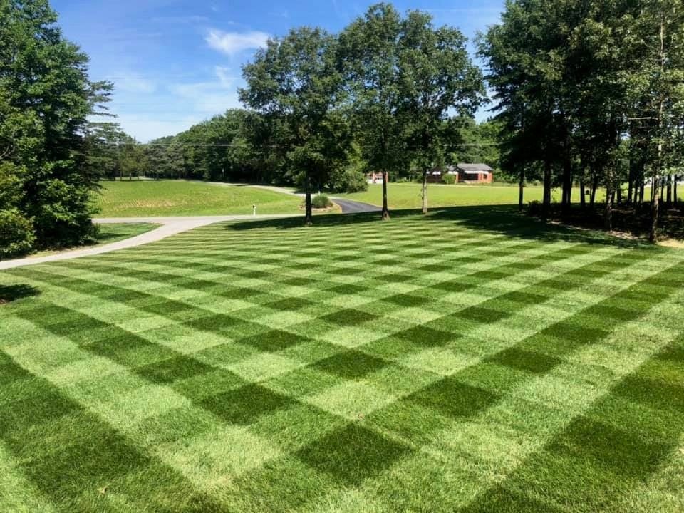 striping-image