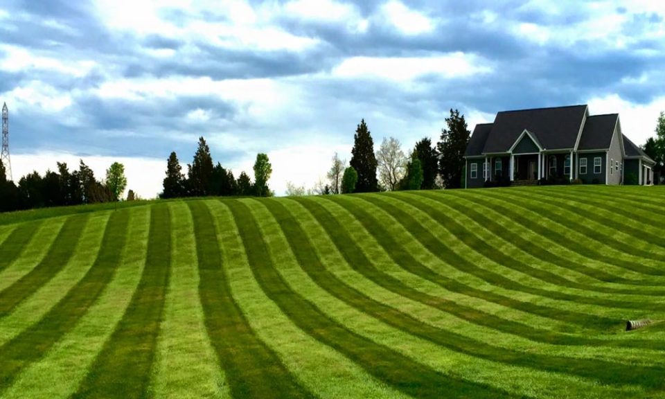 striping-image