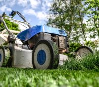 lawn-mower-grass-garden-384589 lawn mower, grass, garden-384589.jpg