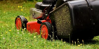 lawn-mower-mow-cut-the-lawn-green-2430725 Lawn Mower