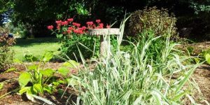 pictuer01 planting